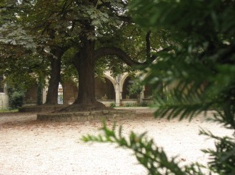 París. Parque Notre Dame I
